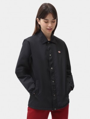 Μπουφαν γυναικεια Dickies Oakport Coach μαυρα | 170049805