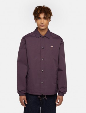 Μπουφαν ανδρικα Dickies Oakport Coach μωβ | 326118400