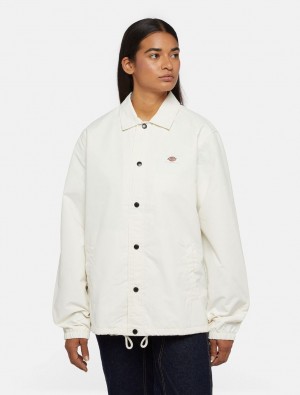Μπουφαν γυναικεια Dickies Oakport Coach ασπρα | 95242230