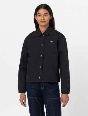 Μπουφαν γυναικεια Dickies Oakport Cropped Coach μαυρα | 583346944