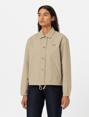 Μπουφαν γυναικεια Dickies Oakport Cropped Coach Χακί | 634772550