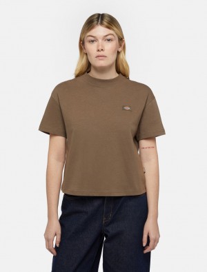 μπλουζακια γυναικεια Dickies Oakport Short Sleeve καφε | 123876480