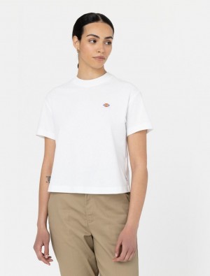 μπλουζακια γυναικεια Dickies Oakport Short Sleeve ασπρα | 524231127