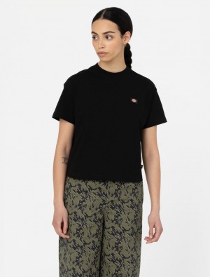 μπλουζακια γυναικεια Dickies Oakport Short Sleeve μαυρα | 696356840