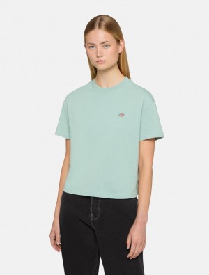μπλουζακια γυναικεια Dickies Oakport Short Sleeve μπλε | 976139361