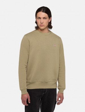 Φούτερ ανδρικα Dickies Oakport Ελιά | 190894396