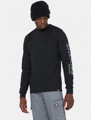 Φούτερ ανδρικα Dickies Okemo Graphic μαυρα | 801002993