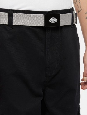 ζωνη ανδρικα Dickies Orcutt γκρι | 271744838