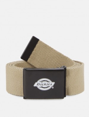 ζωνη ανδρικα Dickies Orcutt Χακί | 338888650