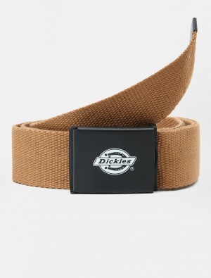 ζωνη γυναικεια Dickies Orcutt καφε | 612142782