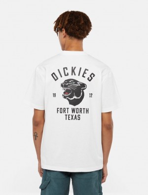 μπλουζακια ανδρικα Dickies Panther ασπρα | 433146637