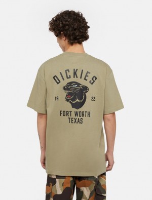 μπλουζακια ανδρικα Dickies Panther Ελιά | 872209702