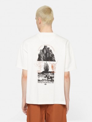 μπλουζακια ανδρικα Dickies Pearisburg Short Sleeve ασπρα | 686922310