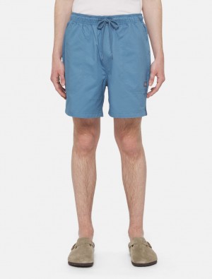 Σορτσ ανδρικα Dickies Pelican Rapids μπλε | 524232620