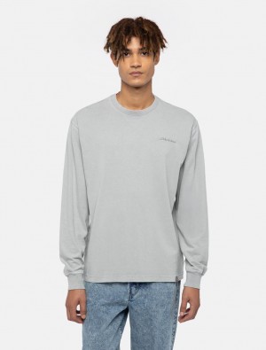 μπλουζακια ανδρικα Dickies Plentywood Long-Sleeve γκρι | 65408151