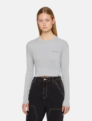μπλουζακια γυναικεια Dickies Plentywood Long-Sleeve γκρι | 959415055