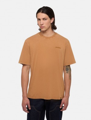 μπλουζακια ανδρικα Dickies Plentywood καφε | 53228742