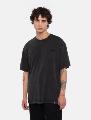 μπλουζακια ανδρικα Dickies Plentywood μαυρα | 848831498