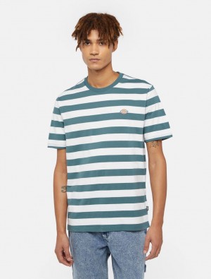 μπλουζακια ανδρικα Dickies Rivergrove Short Sleeve πρασινο | 557024072