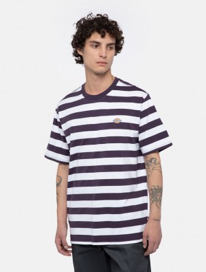 μπλουζακια ανδρικα Dickies Rivergrove Short Sleeve μωβ | 8763723