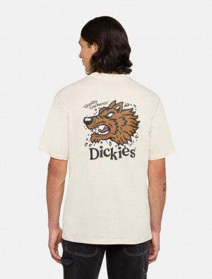 μπλουζακια ανδρικα Dickies Roundup ασπρα | 438197306