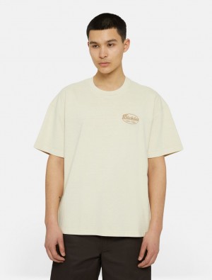 μπλουζακια ανδρικα Dickies Rustburg Short Sleeve ασπρα | 209632080