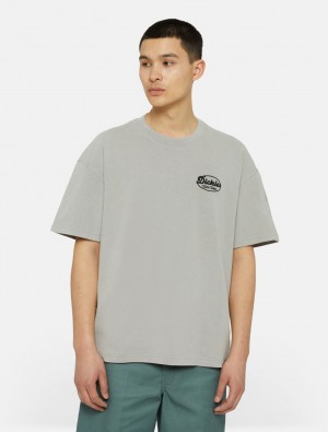 μπλουζακια ανδρικα Dickies Rustburg Short Sleeve γκρι | 291132926