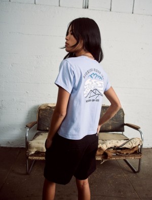 μπλουζακια γυναικεια Dickies Saltville Short Sleeve λεβάντα | 686371919