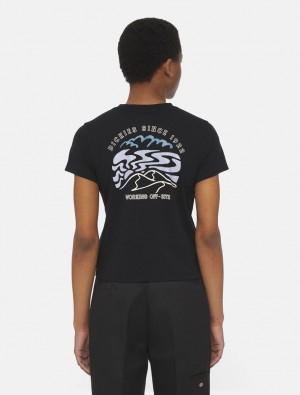 μπλουζακια γυναικεια Dickies Saltville Short Sleeve μαυρα | 767428644