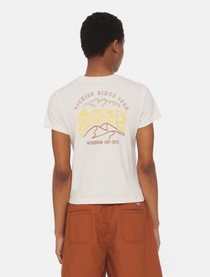 μπλουζακια γυναικεια Dickies Saltville Short Sleeve ασπρα | 773819653