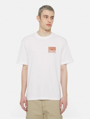 μπλουζακια ανδρικα Dickies Saltville Short Sleeve ασπρα | 910590288