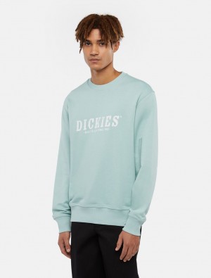 Φούτερ ανδρικα Dickies Script μπλε | 570334366