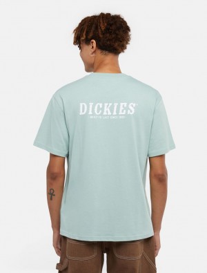 μπλουζακια ανδρικα Dickies Script μπλε | 586824699