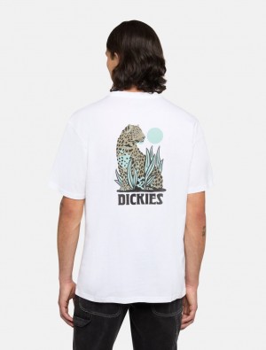 μπλουζακια ανδρικα Dickies Seeley ασπρα | 795942836