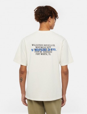 μπλουζακια ανδρικα Dickies Stamp ασπρα | 335612120
