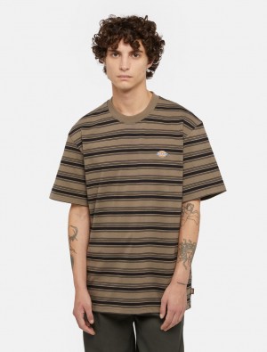 μπλουζακια ανδρικα Dickies Stevensville Stripe καφε | 358670034