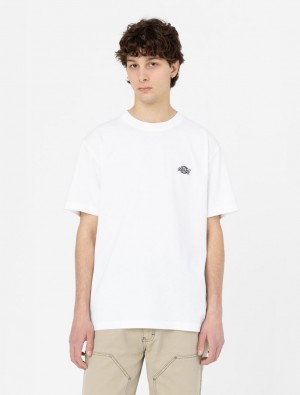 μπλουζακια ανδρικα Dickies Summerdale Short Sleeve ασπρα | 327399449