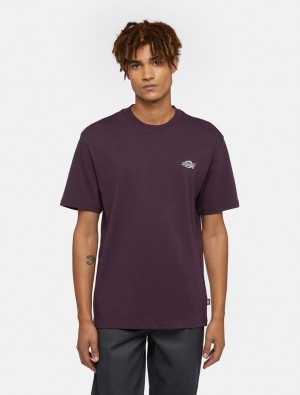 μπλουζακια ανδρικα Dickies Summerdale Short Sleeve μωβ | 499503147
