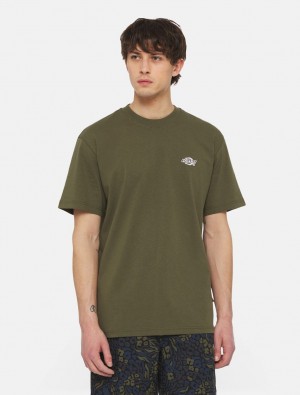 μπλουζακια ανδρικα Dickies Summerdale Short Sleeve Ελιά | 601043575