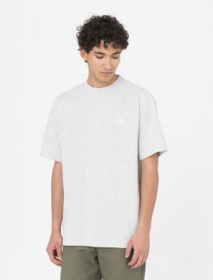 μπλουζακια ανδρικα Dickies Summerdale Short Sleeve γκρι | 849315717
