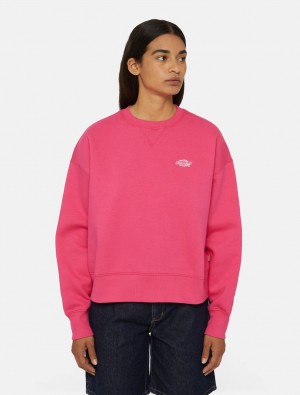 Φούτερ γυναικεια Dickies Summerdale ροζ | 166964448