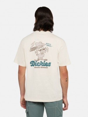 μπλουζακια ανδρικα Dickies Superior ασπρα | 857991179