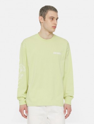 μπλουζακια ανδρικα Dickies Timberville Long Sleeve πρασινο | 556460989