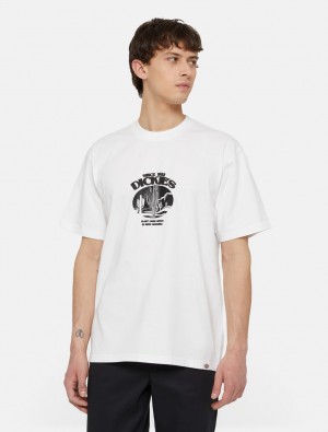 μπλουζακια ανδρικα Dickies Timberville Short Sleeve ασπρα | 772865770
