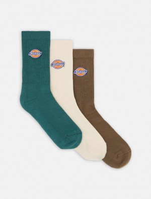 Καλτσεσ ανδρικα Dickies Valley Grove καφε | 919218536