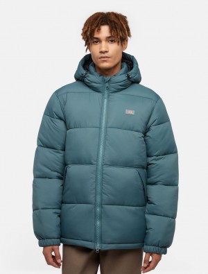 Μπουφαν ανδρικα Dickies Waldenburg Hooded πρασινο | 940889408