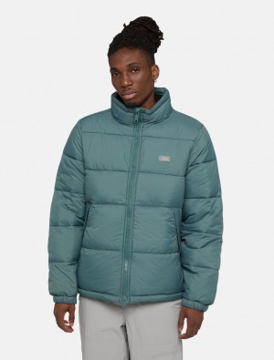 Μπουφαν ανδρικα Dickies Waldenburg πρασινο | 454389704