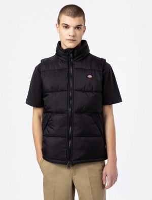 Γιλεκο ανδρικα Dickies Waldenburg μαυρα | 811628061