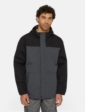 Μπουφαν ανδρικα Dickies Waterproof Rain γκρι | 357951721