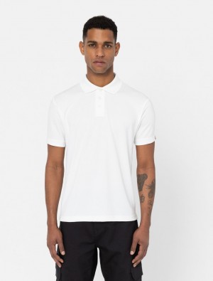 μπλουζακια πολο ανδρικα Dickies Everyday ασπρα | 140018565